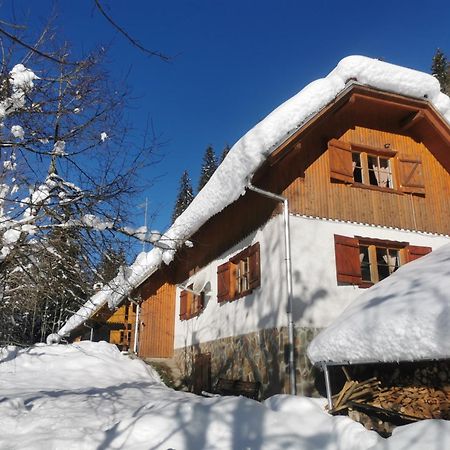 Pohorje House 2 Four Appartmetns Oplotnica Exterior photo